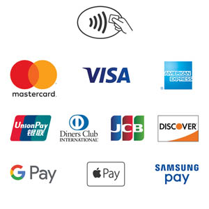 Visa Mastercard American Express JCB UnionPay Diners Club Discover Maestro Visa Electron VPay Mobile wallets Apple Pay* Google Pay** Samsung Pay PayPal QR codes